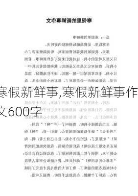 寒假新鲜事,寒假新鲜事作文600字-第2张图片-星梦范文网