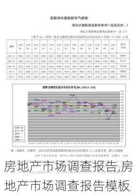 房地产市场调查报告,房地产市场调查报告模板-第3张图片-星梦范文网