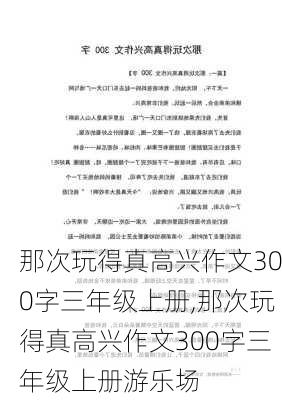 那次玩得真高兴作文300字三年级上册,那次玩得真高兴作文300字三年级上册游乐场-第1张图片-星梦范文网