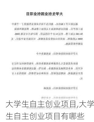 大学生自主创业项目,大学生自主创业项目有哪些