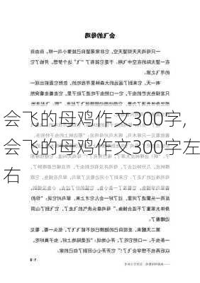 会飞的母鸡作文300字,会飞的母鸡作文300字左右