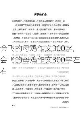 会飞的母鸡作文300字,会飞的母鸡作文300字左右-第2张图片-星梦范文网