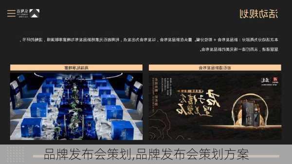 品牌发布会策划,品牌发布会策划方案-第3张图片-星梦范文网