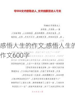 感悟人生的作文,感悟人生的作文600字-第2张图片-星梦范文网