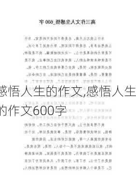 感悟人生的作文,感悟人生的作文600字-第3张图片-星梦范文网