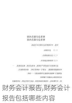 财务会计报告,财务会计报告包括哪些内容-第3张图片-星梦范文网