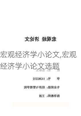 宏观经济学小论文,宏观经济学小论文选题-第3张图片-星梦范文网