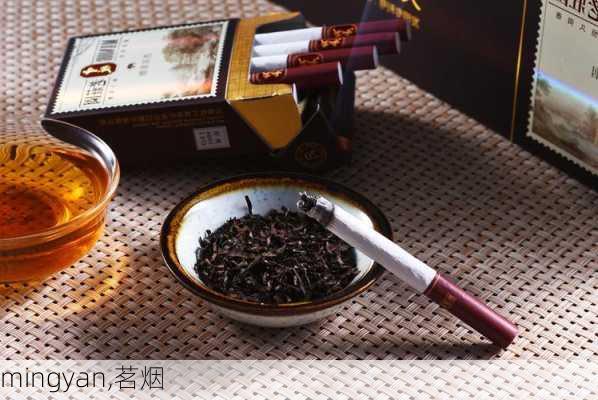 mingyan,茗烟-第3张图片-星梦范文网