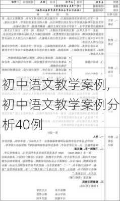 初中语文教学案例,初中语文教学案例分析40例-第3张图片-星梦范文网