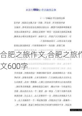 合肥之旅作文,合肥之旅作文600字-第3张图片-星梦范文网