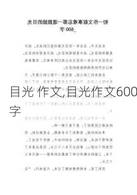 目光 作文,目光作文600字