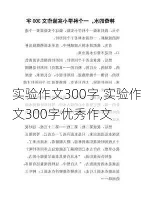 实验作文300字,实验作文300字优秀作文-第3张图片-星梦范文网