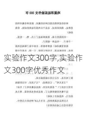 实验作文300字,实验作文300字优秀作文-第2张图片-星梦范文网