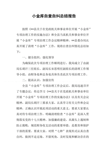 小金库自查自纠总结报告,小金库自查自纠总结报告怎么写