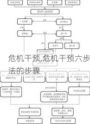 危机干预,危机干预六步法的步骤-第2张图片-星梦范文网