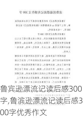 鲁宾逊漂流记读后感300字,鲁滨逊漂流记读后感300字优秀作文-第2张图片-星梦范文网