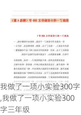 我做了一项小实验300字,我做了一项小实验300字三年级-第2张图片-星梦范文网