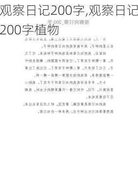 观察日记200字,观察日记200字植物-第2张图片-星梦范文网