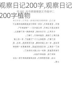 观察日记200字,观察日记200字植物