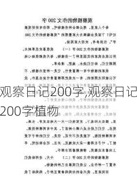 观察日记200字,观察日记200字植物-第3张图片-星梦范文网