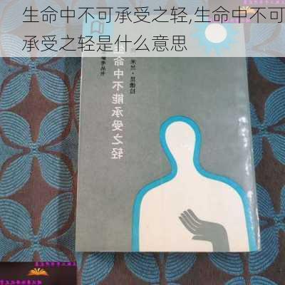 生命中不可承受之轻,生命中不可承受之轻是什么意思-第2张图片-星梦范文网