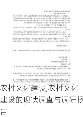 农村文化建设,农村文化建设的现状调查与调研报告-第2张图片-星梦范文网