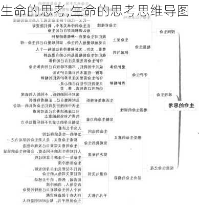 生命的思考,生命的思考思维导图-第3张图片-星梦范文网