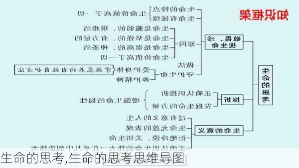 生命的思考,生命的思考思维导图-第2张图片-星梦范文网