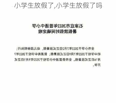 小学生放假了,小学生放假了吗-第3张图片-星梦范文网