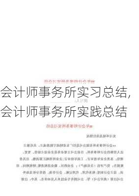 会计师事务所实习总结,会计师事务所实践总结-第1张图片-星梦范文网