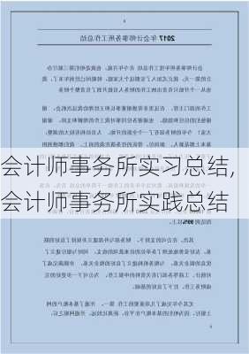 会计师事务所实习总结,会计师事务所实践总结-第3张图片-星梦范文网