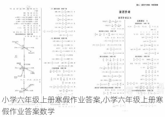 小学六年级上册寒假作业答案,小学六年级上册寒假作业答案数学