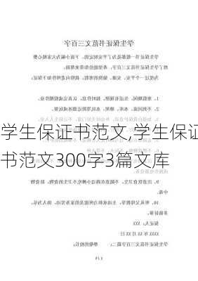 学生保证书范文,学生保证书范文300字3篇文库-第2张图片-星梦范文网