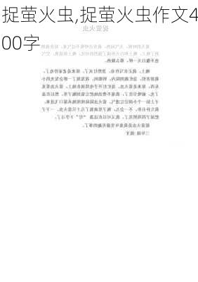 捉萤火虫,捉萤火虫作文400字