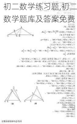 初二数学练习题,初二数学题库及答案免费-第3张图片-星梦范文网