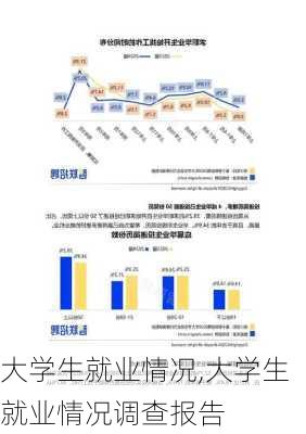 大学生就业情况,大学生就业情况调查报告