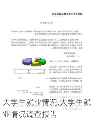 大学生就业情况,大学生就业情况调查报告-第3张图片-星梦范文网