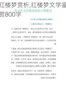 红楼梦赏析,红楼梦文学鉴赏800字-第3张图片-星梦范文网