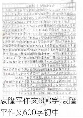 袁隆平作文600字,袁隆平作文600字初中