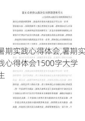 暑期实践心得体会,暑期实践心得体会1500字大学生-第1张图片-星梦范文网