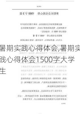 暑期实践心得体会,暑期实践心得体会1500字大学生-第2张图片-星梦范文网