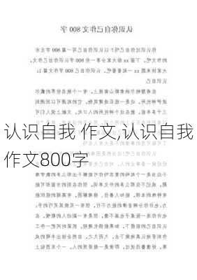 认识自我 作文,认识自我作文800字-第2张图片-星梦范文网