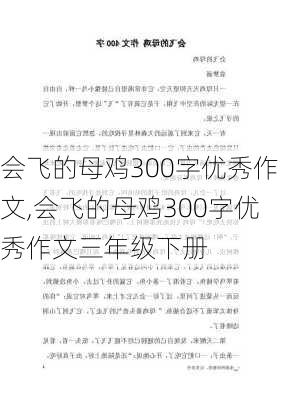 会飞的母鸡300字优秀作文,会飞的母鸡300字优秀作文三年级下册-第3张图片-星梦范文网