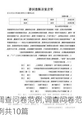 调查问卷范例,调查问卷范例共10篇-第2张图片-星梦范文网