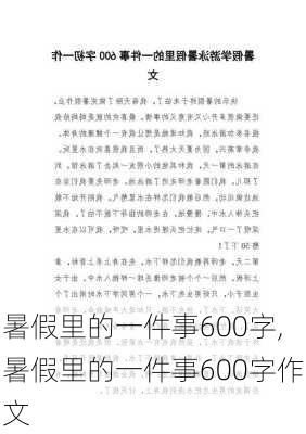 暑假里的一件事600字,暑假里的一件事600字作文-第3张图片-星梦范文网