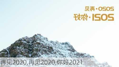 再见2020,再见2020,你好2021-第2张图片-星梦范文网