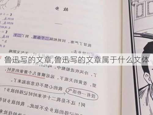 鲁迅写的文章,鲁迅写的文章属于什么文体-第3张图片-星梦范文网