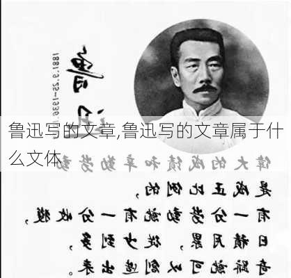 鲁迅写的文章,鲁迅写的文章属于什么文体-第2张图片-星梦范文网