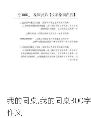 我的同桌,我的同桌300字作文