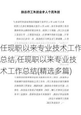 任现职以来专业技术工作总结,任现职以来专业技术工作总结(精选多篇)-第3张图片-星梦范文网